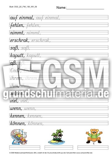 DSS_2S_FW_100_NR_58.pdf